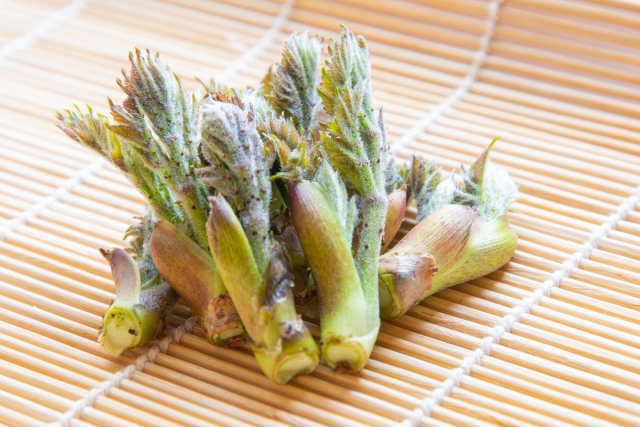 春に新芽が出る山菜。天ぷら、和え物やお浸しに。